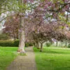 Half Price Voucher for a Day for Two at Horwood House - Image 5