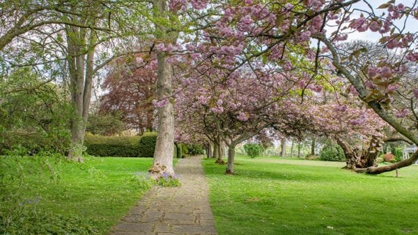 Half Price Voucher for a Day for Two at Horwood House - Image 5