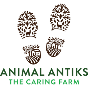 Animal Antiks Safari Experience
